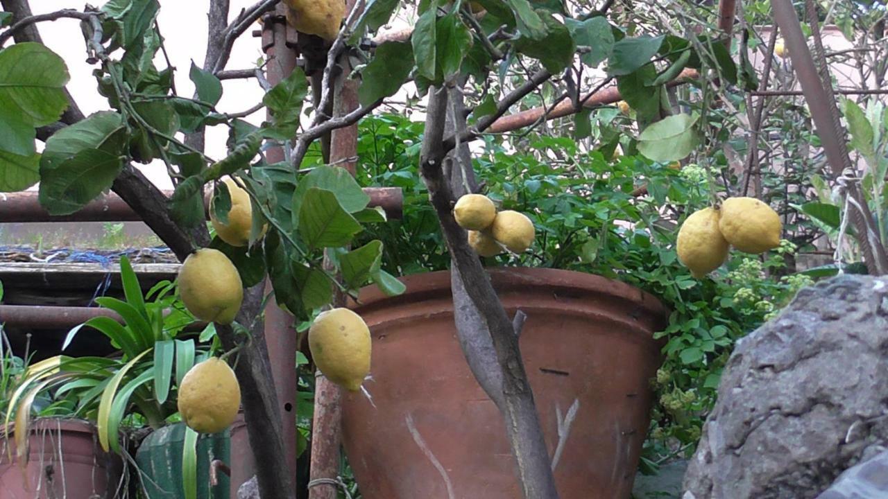 Appartement Il Golfo E I Limoni à La Spezia Extérieur photo