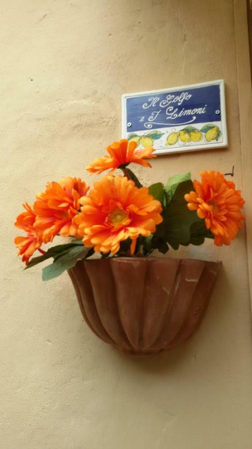 Appartement Il Golfo E I Limoni à La Spezia Extérieur photo